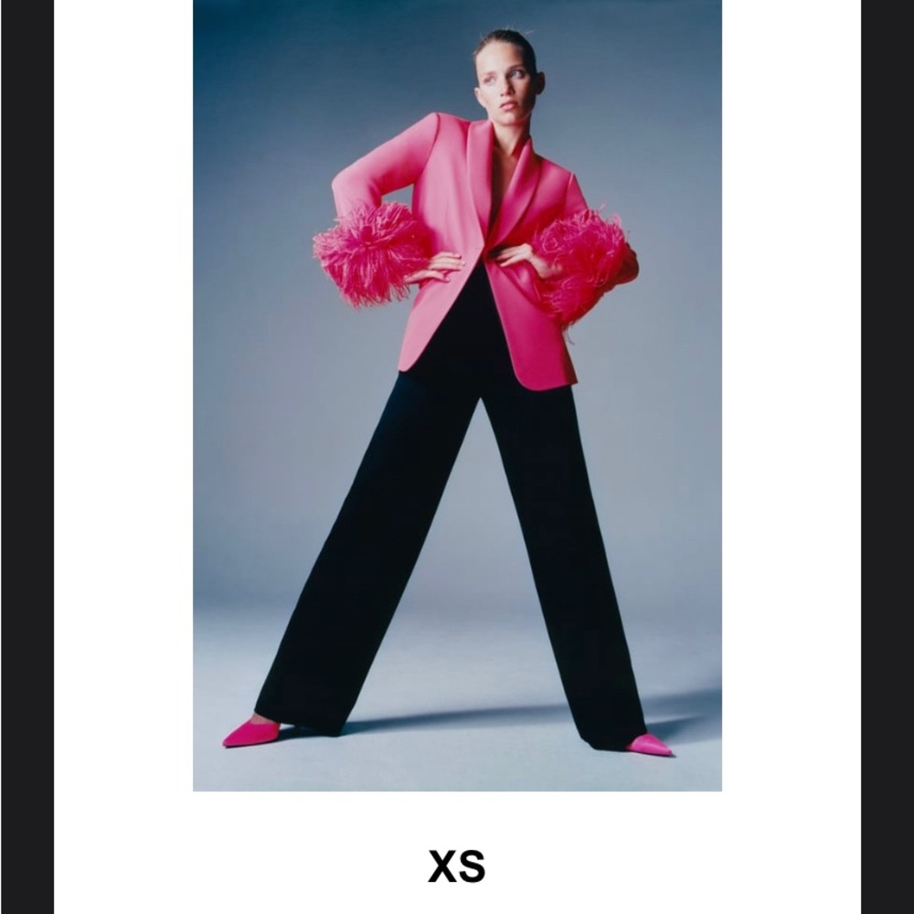 Pink Straight Cut Feather Blazer from Zara .